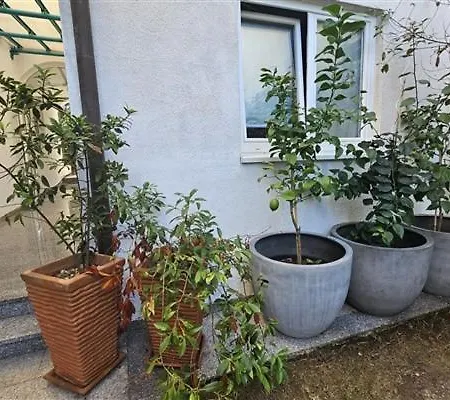Apartment Astella